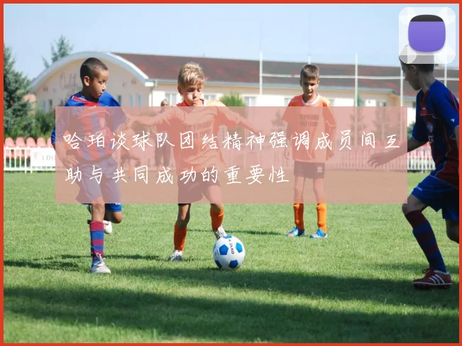 哈珀谈球队团结精神强调成员间互助与共同成功的重要性